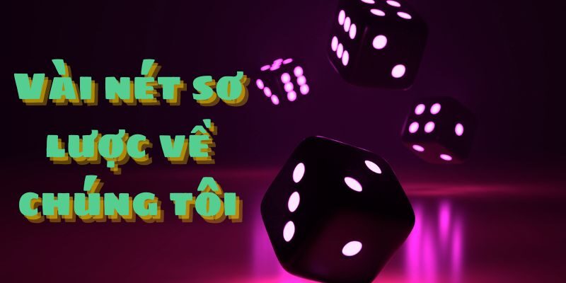 Vài nét sơ lược về chúng tôi